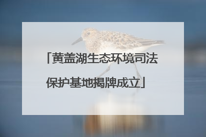 黄盖湖生态环境司法保护基地揭牌成立