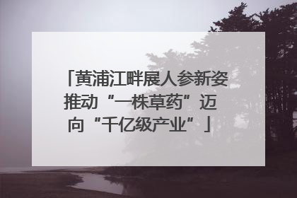 黄浦江畔展人参新姿 推动“一株草药”迈向“千亿级产业”