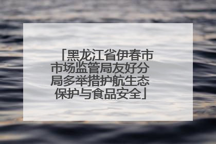 黑龙江省伊春市市场监管局友好分局多举措护航生态保护与食品安全