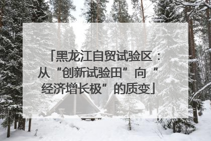 黑龙江自贸试验区：从“创新试验田”向“经济增长极”的质变