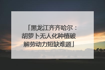 黑龙江齐齐哈尔：胡萝卜无人化种植破解劳动力短缺难题