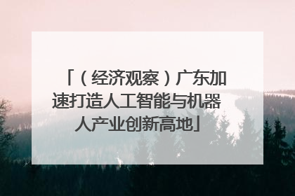 （经济观察）广东加速打造人工智能与机器人产业创新高地