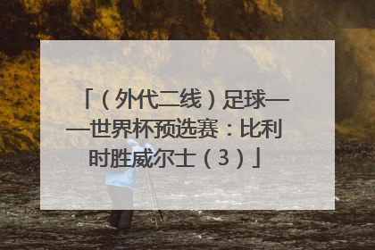 （外代二线）足球——世界杯预选赛：比利时胜威尔士（3）
