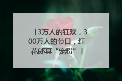 3万人的狂欢，300万人的节日，红花郎真“宠粉”