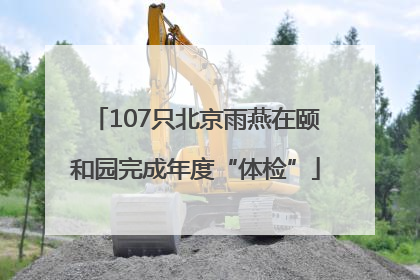 107只北京雨燕在颐和园完成年度“体检”