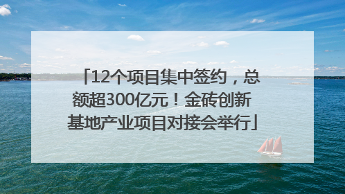 12个项目集中签约，总额超300亿元！金砖创新基地产业项目对接会举行