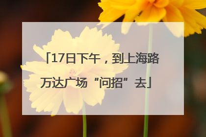 17日下午，到上海路万达广场“问招”去