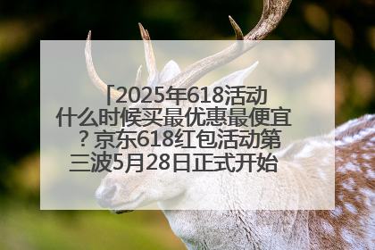 2025年618活动什么时候买最优惠最便宜？京东618红包活动第三波5月28日正式开始附满减优惠攻略一览