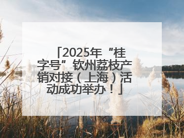2025年“桂字号”钦州荔枝产销对接（上海）活动成功举办！