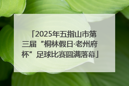 2025年五指山市第三届“桐林假日·老州府杯”足球比赛圆满落幕