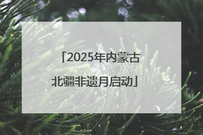 2025年内蒙古北疆非遗月启动