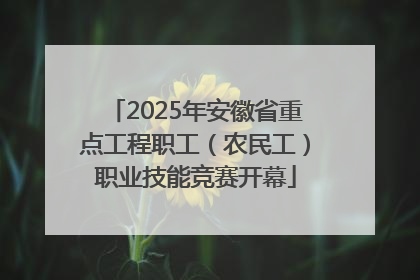 2025年安徽省重点工程职工（农民工）职业技能竞赛开幕