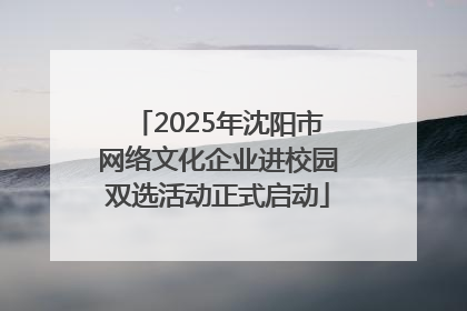 2025年沈阳市网络文化企业进校园双选活动正式启动