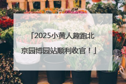2025小黄人趣跑北京园博园站顺利收官！