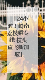 24小时！岭南荔枝乘专线 枝头直飞新加坡
