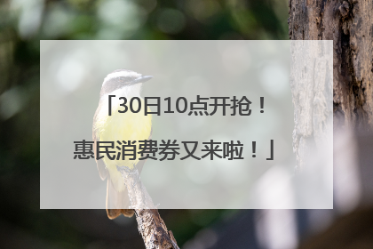 30日10点开抢！惠民消费券又来啦！