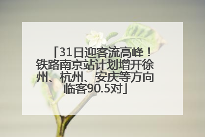 31日迎客流高峰！铁路南京站计划增开徐州、杭州、安庆等方向临客90.5对