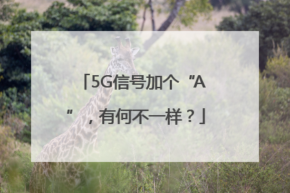 5G信号加个“A”，有何不一样？