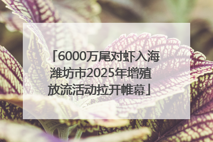 6000万尾对虾入海 潍坊市2025年增殖放流活动拉开帷幕