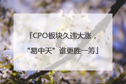 CPO板块久违大涨，“易中天”谁更胜一筹