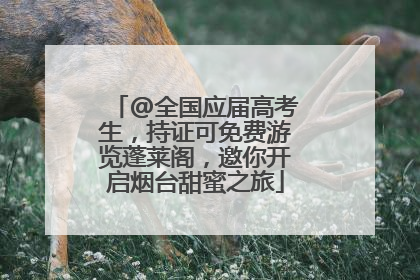 @全国应届高考生，持证可免费游览蓬莱阁，邀你开启烟台甜蜜之旅