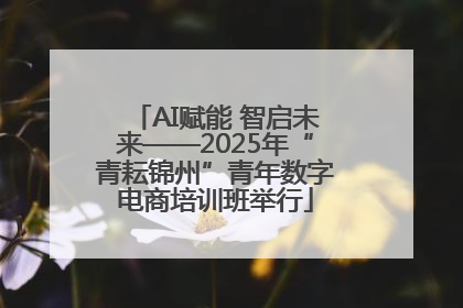 AI赋能 智启未来——2025年“青耘锦州”青年数字电商培训班举行
