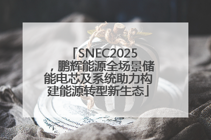SNEC2025，鹏辉能源全场景储能电芯及系统助力构建能源转型新生态