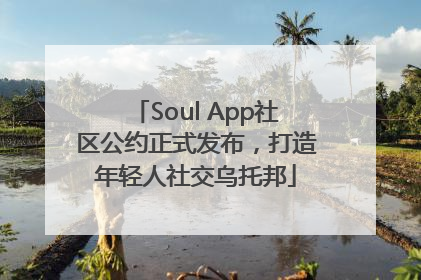 Soul App社区公约正式发布，打造年轻人社交乌托邦
